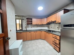 Simsville (D14), Condominium #481310551